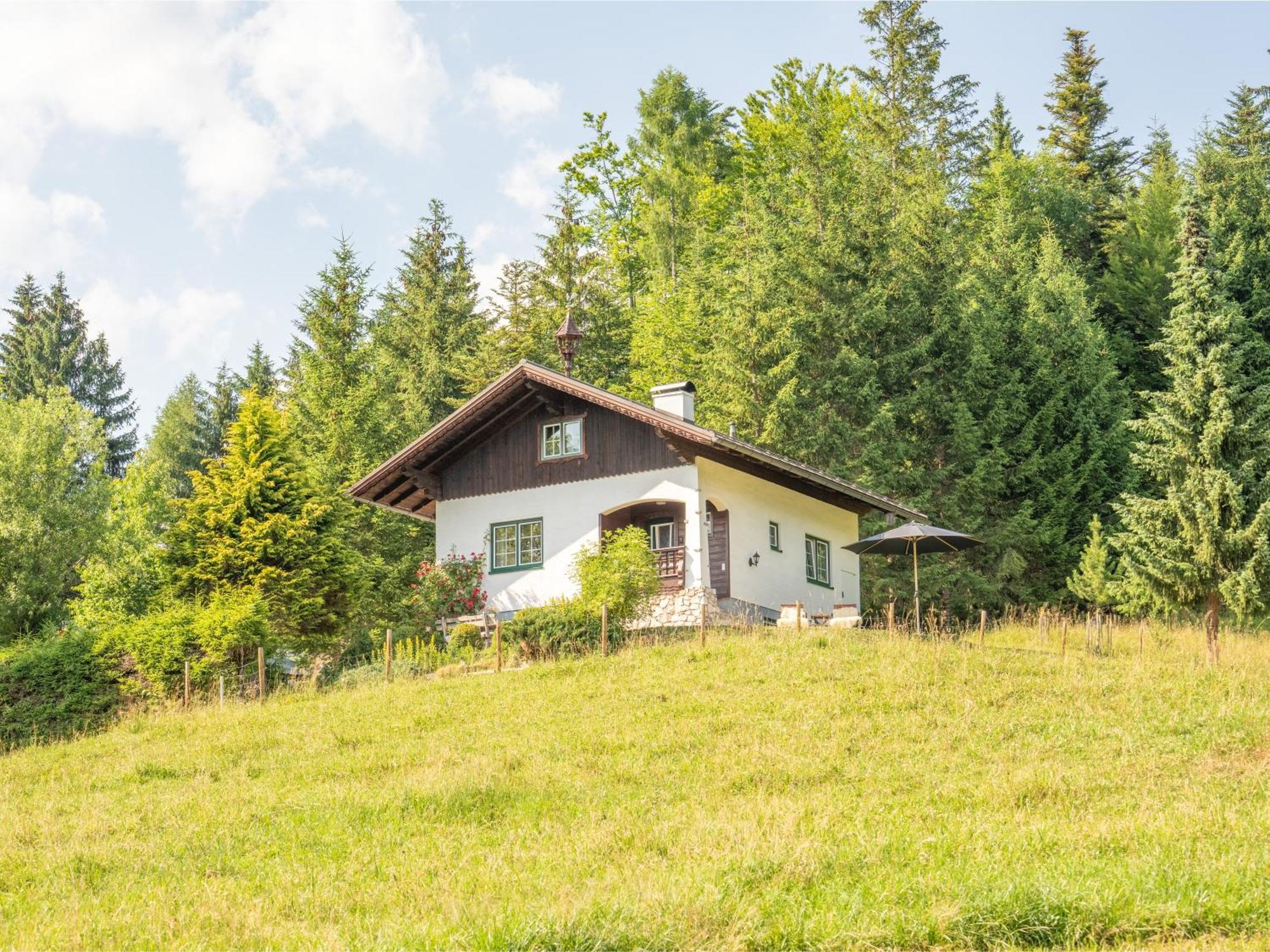 Alpenchalet - Rehkogl 46 Bad Goisern Buitenkant foto